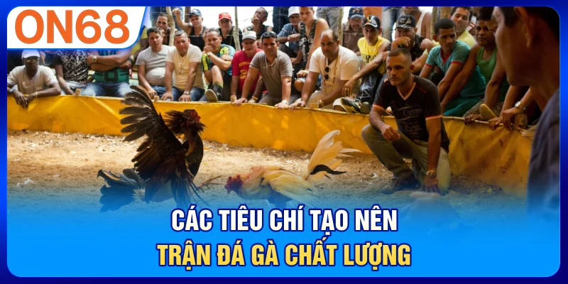 Các Tiêu Chí Tạo Nên Trận Đá Gà Chất Lượng