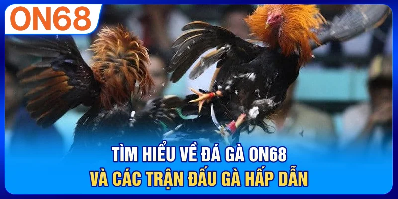 Tìm Hiểu Về Đá Gà ON68 Và Các Trận Đấu Gà Hấp Dẫn